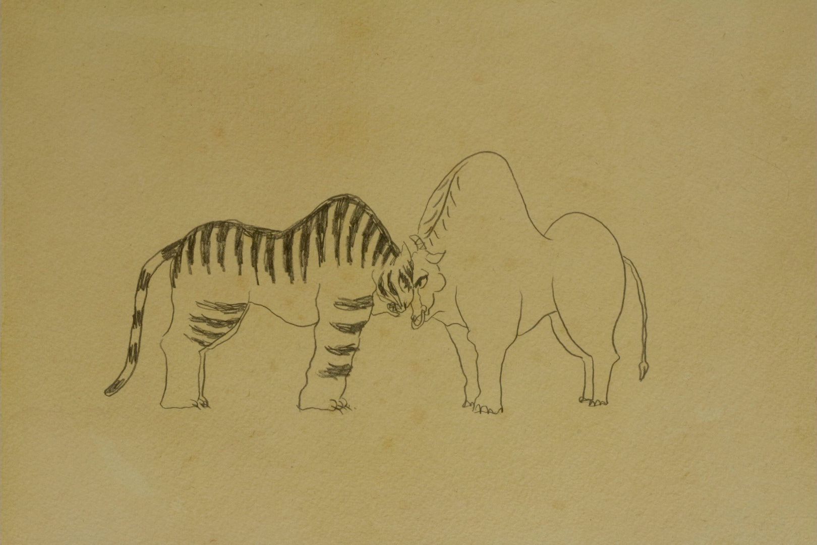 Tiger and Ox