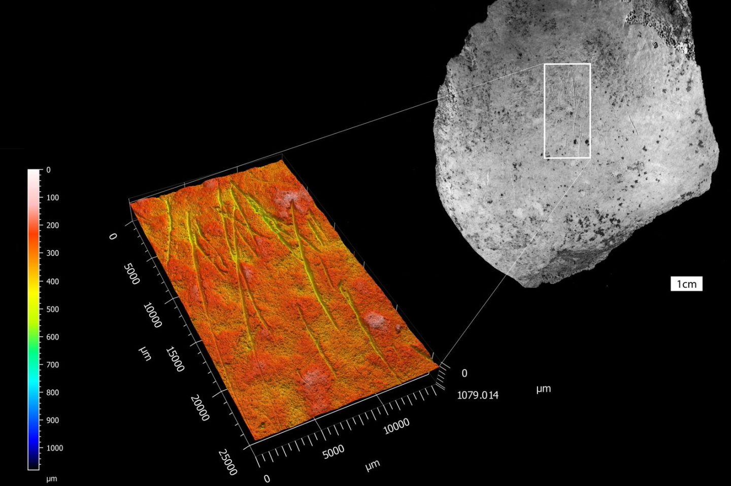 A 3D Image produced by the 3D Imaging Lab