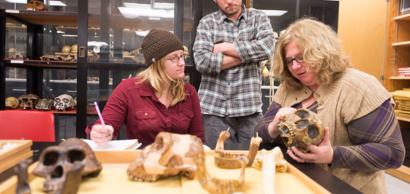 Professor holding a skull in the bone lab with students