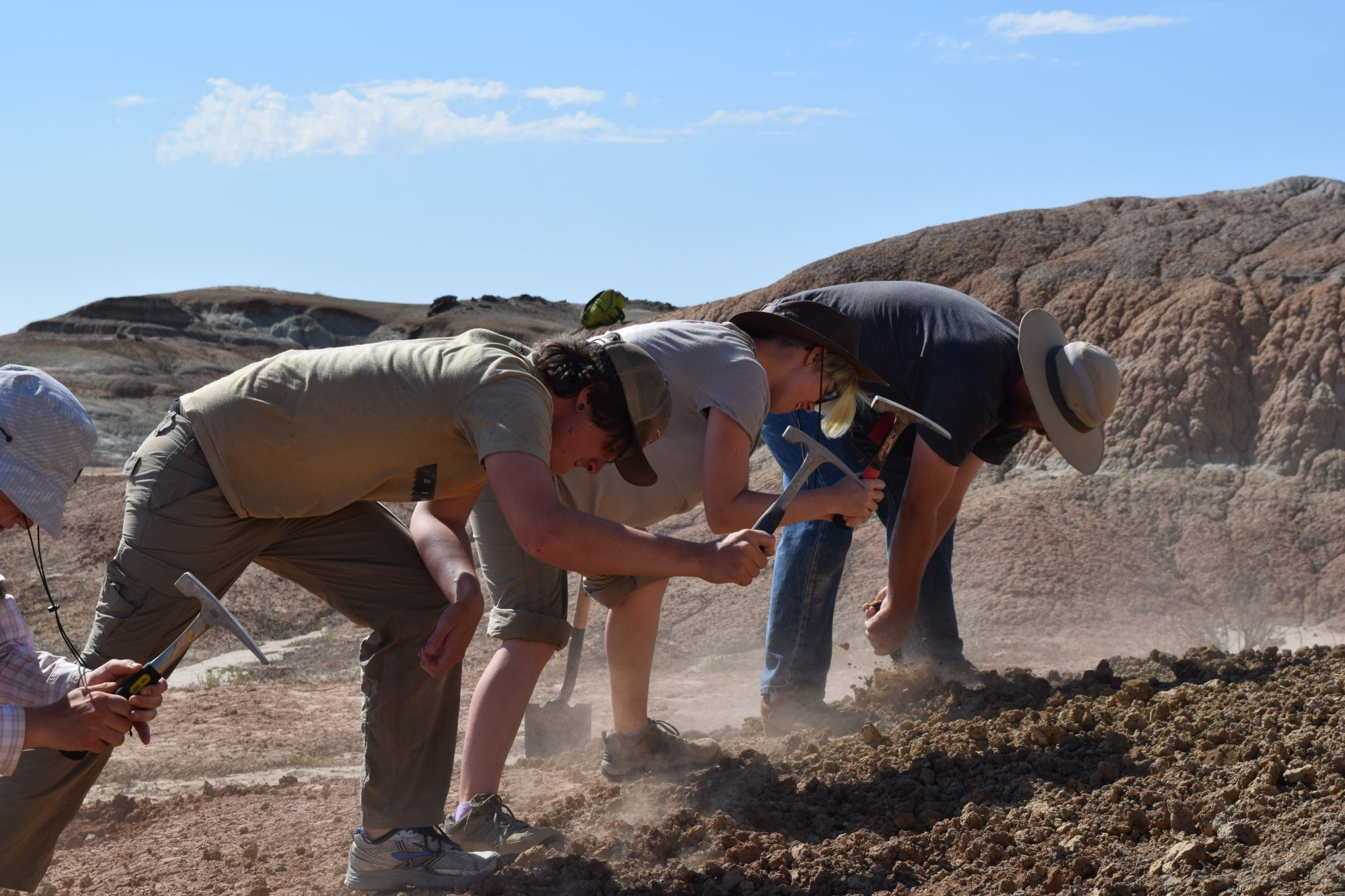Students loosening soil during the 2016 Paleontology Field School.