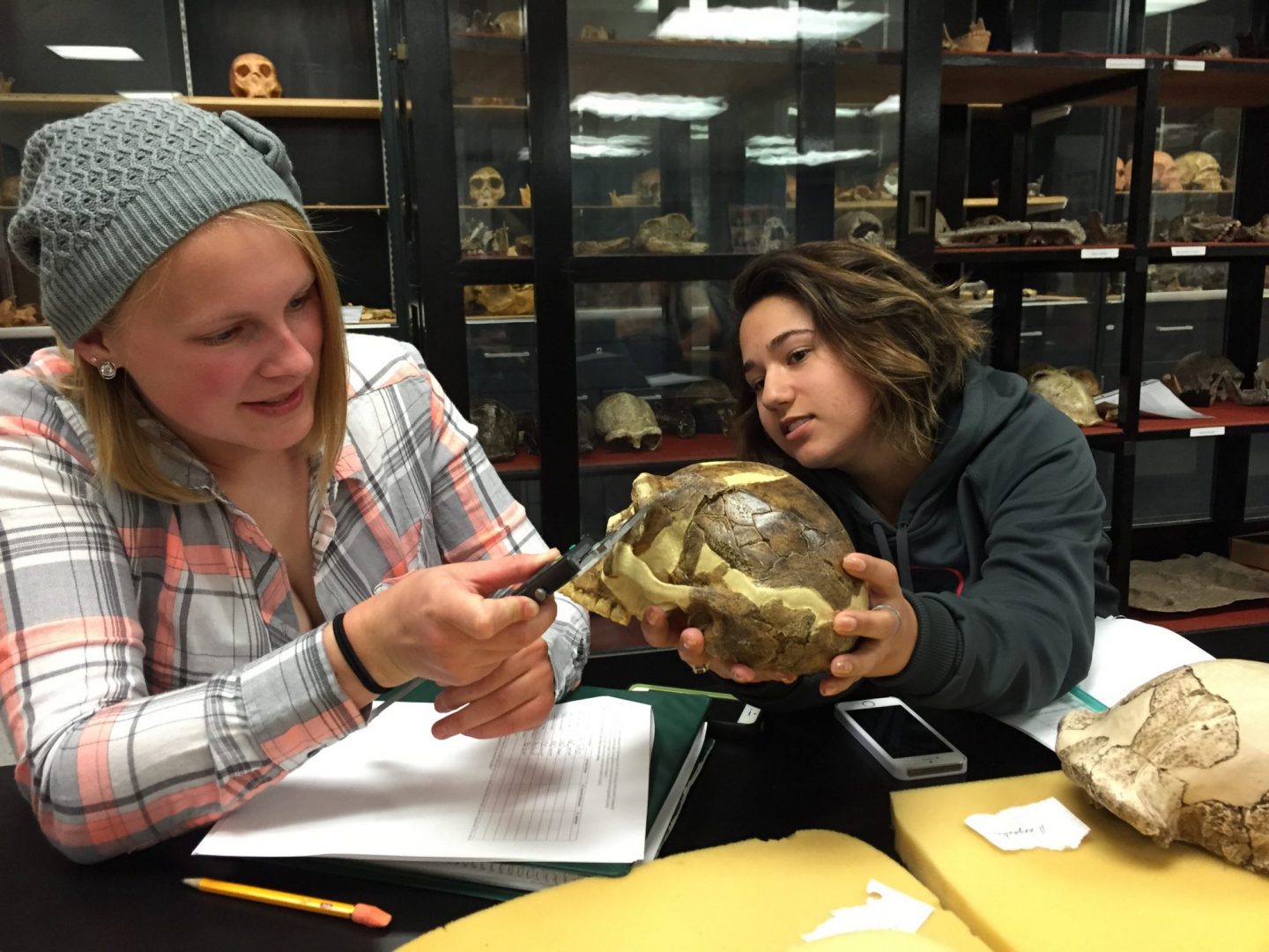 Two students working with tools on a skull in the lab