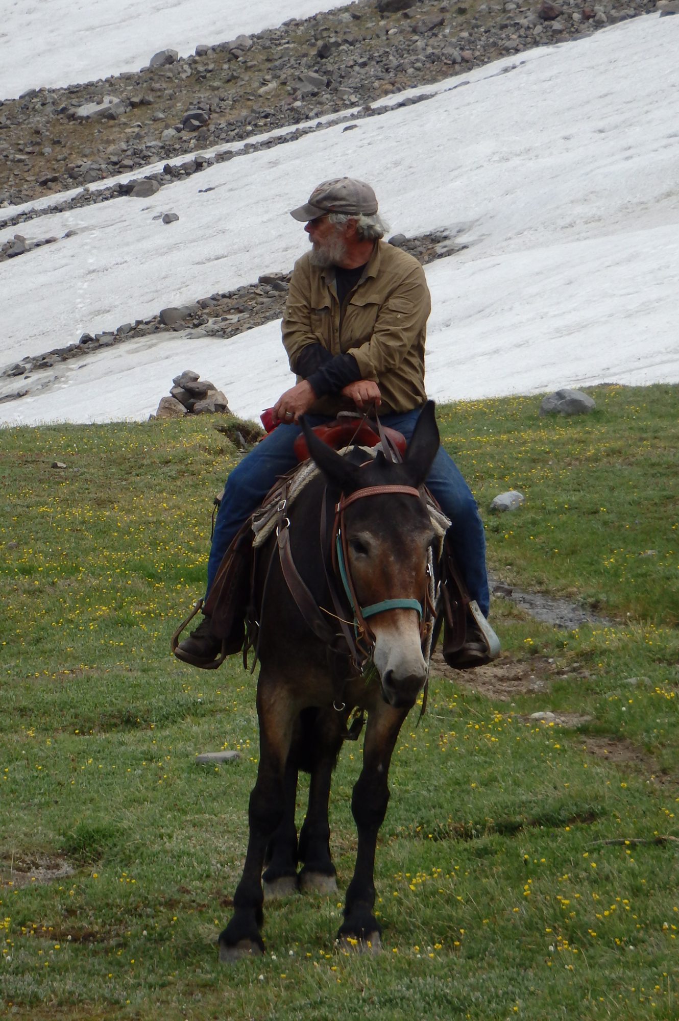 Professor emeritus on horse