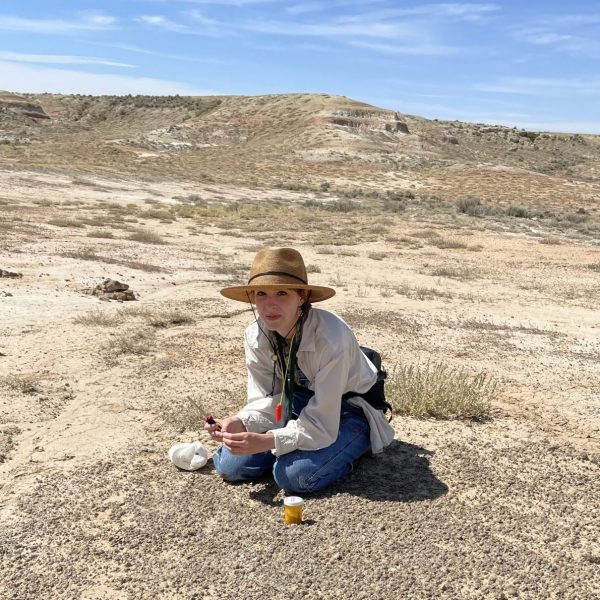 Student sitting on ground collecting fossils from earth