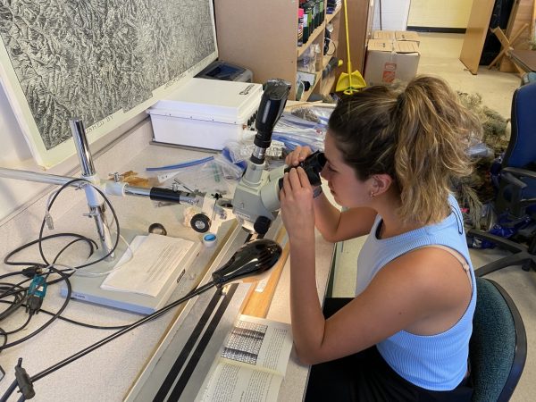 Woman looks in stereo microscope