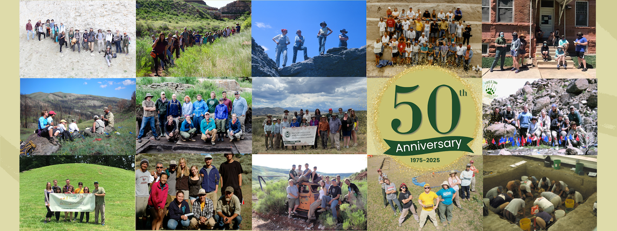 Composite image of field school group photos in rows of three, images show field school groups between 1971 and 2022.