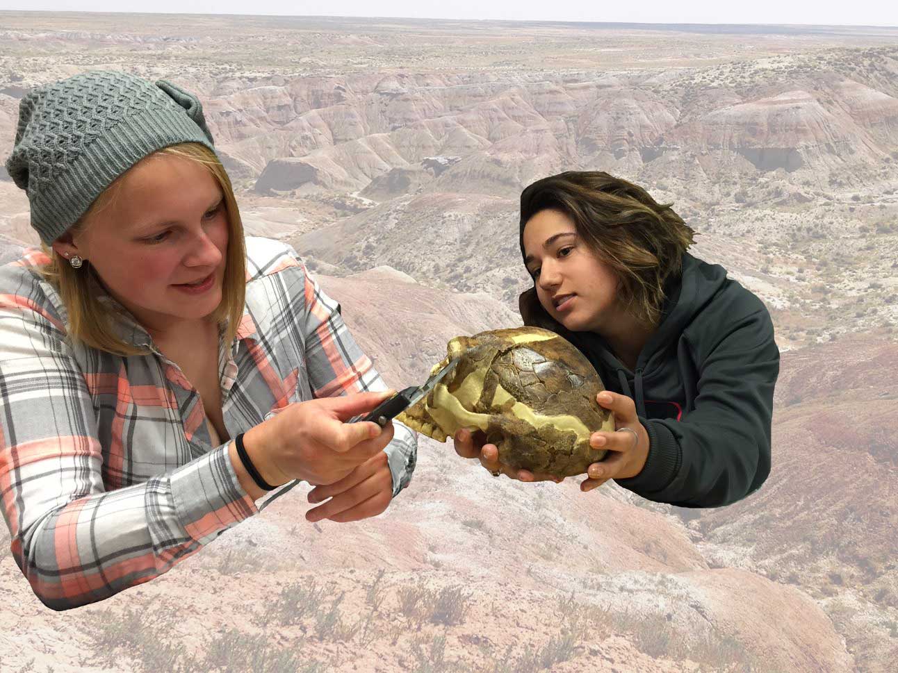 Two students measuring a skull specimen Anthropology and Geography Colorado State University