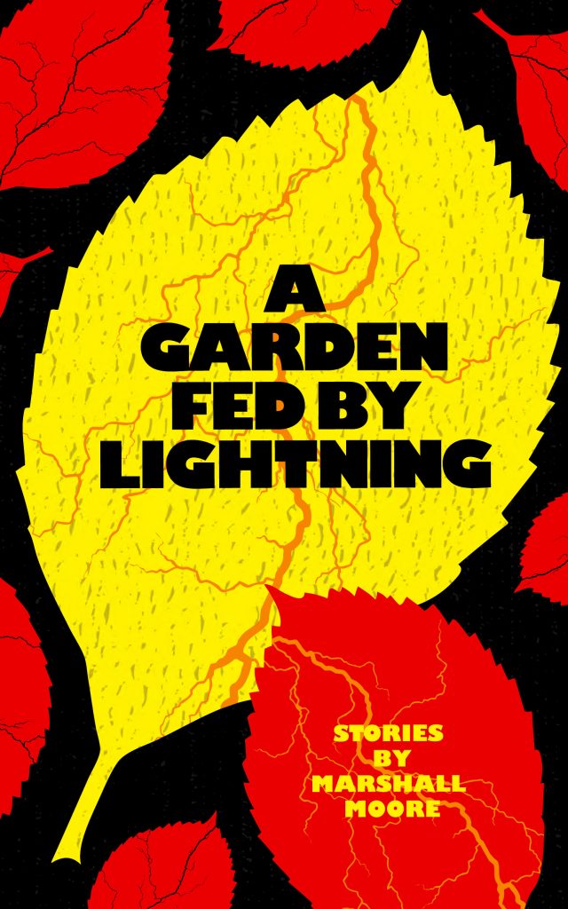 A Garden Fed by Lightning - Center for Literary Publishing