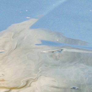 A swan through fractured ice.