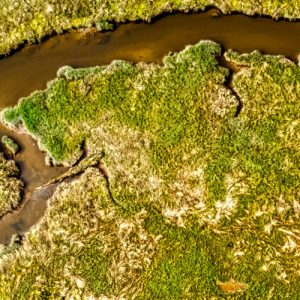 A creek network from above.