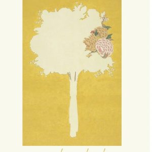 Cover of Asterism by Ae Hee Lee.