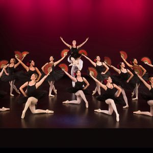 Classical Ballet repertoire 2012 Group Photo