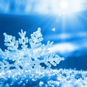 close up of a snowflake