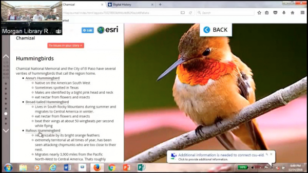 Story Map entry with hummingbird and text