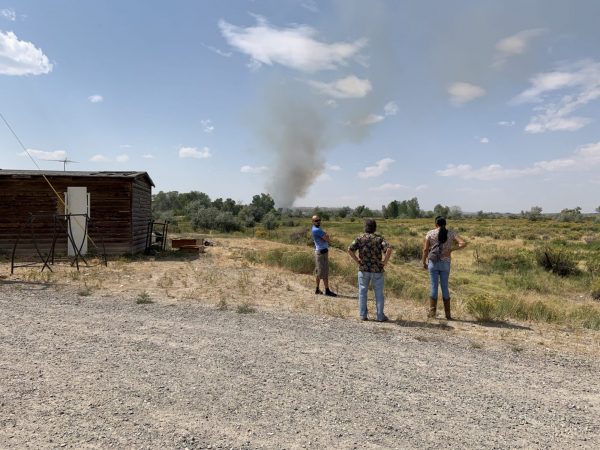People observing the wildfire