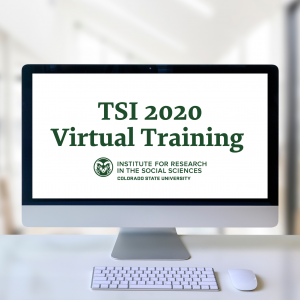 TSI 2020 Virtual Training