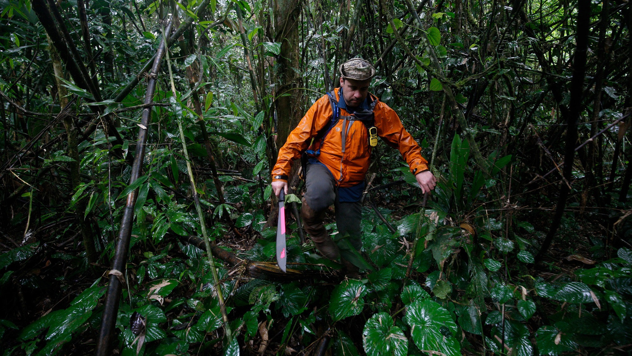 CSU archaeologist returning to Honduran jungle - Magazine