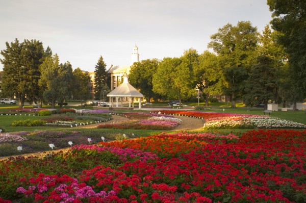 Varieties of flowers are tested in Colorado's climate at the Annual Trial Gardens, Colorado State University.
