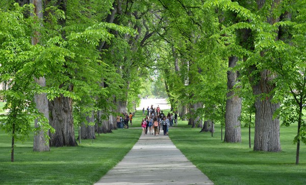 Students walking through the Oval