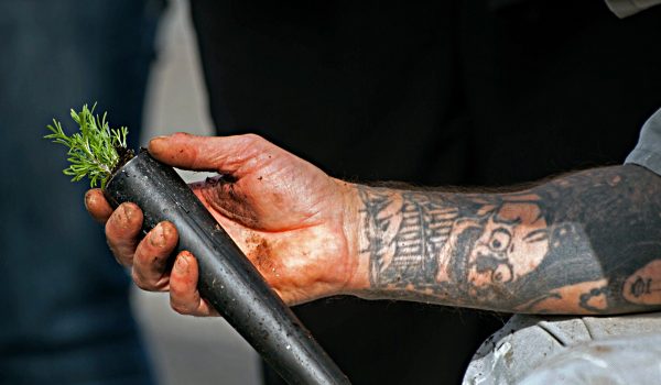 Tattooed arm of a man holding a plant stake