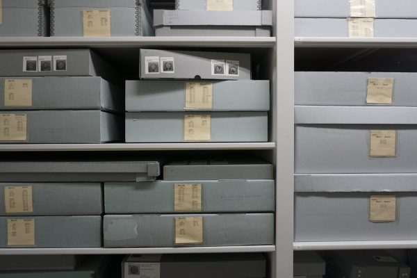 Boxes storing art in Collections at Gregory Allicar Musuem of Art