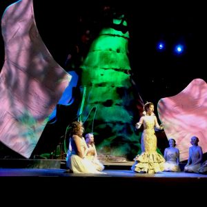 Cinderella 2014 Performance Photo