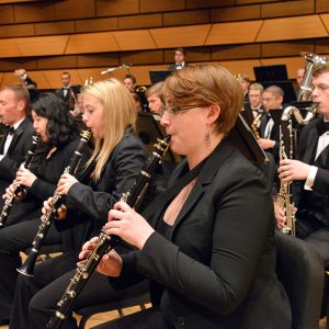 Clarinet section performance photo