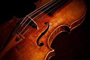 Violin Instrument Pictured