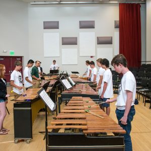 Pre-College Percussion Camp students pictured