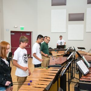 Pre-College Percussion Camp students pictured
