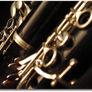 Woodwinds pictured close up