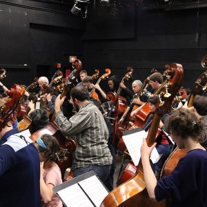 Double Bassists Class Photo