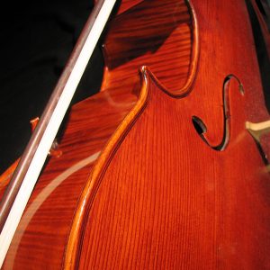 Pictured Bass close up