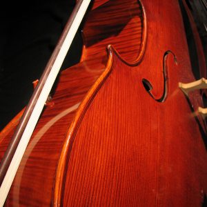 Bass pictured close up