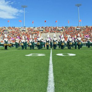 CSU Marching Band pictured on field