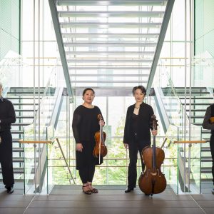 Borromeo String Quartet promotional photo