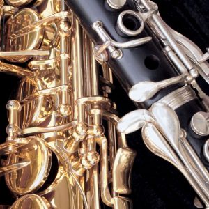 Woodwinds pictured close up