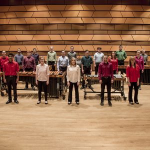 2016 Percussion group photo