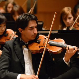 Violins pictured during a performance
