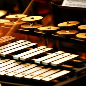 Percussion Instrument pictured