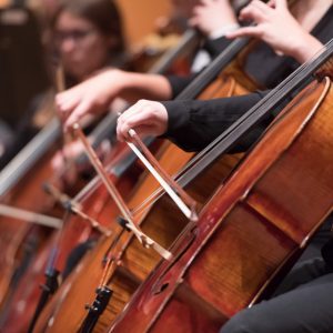 Cellists in the CSU Symphony Orchestra