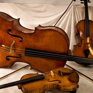 Three string instruments pictured