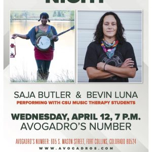 2023 Music Therapy Singer / Songwriter Promotional Poster