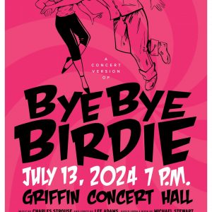 Bye Bye Birdie poster