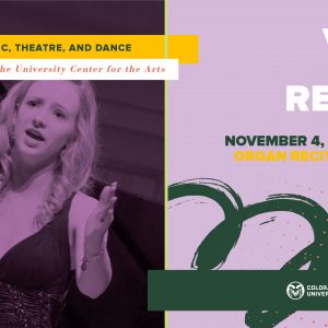 2025 Voice Area promotional screen