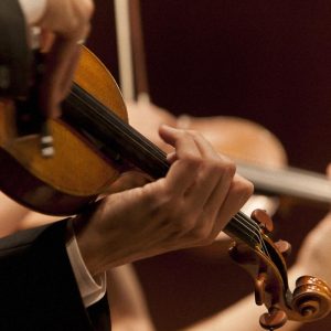 Violins pictured close up