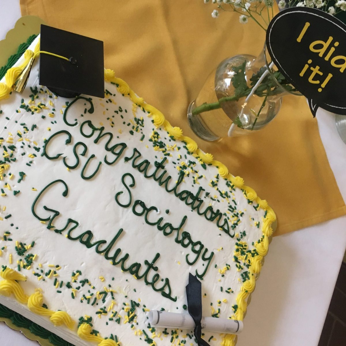 sociology cake