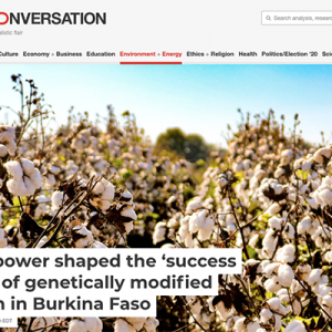 screenshot of article with cotton field photo