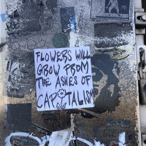 Flowers will grow from the ashes of capitalism