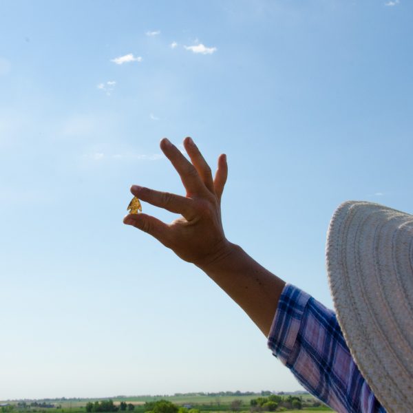 archaeology-field-site-summer-6