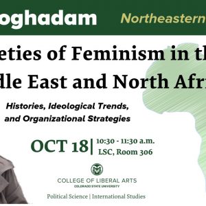 Varieties of Feminism in the Middle East and Africa